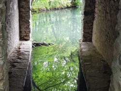  <a style='color: #fff;' href='/uploaded/photo/sejour-a-la-fressinouse-62ac40b51f6e3.jpg'>(Télécharger)</a>