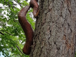  <a style='color: #fff;' href='/uploaded/photo/sejour-a-la-fressinouse-62ac40bc570f9.jpg'>(Télécharger)</a>