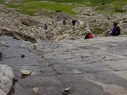  <a style='color: #fff;' href='/uploaded/photo/sejour-a-la-fressinouse-62ac40bfc7702.jpg'>(Télécharger)</a>