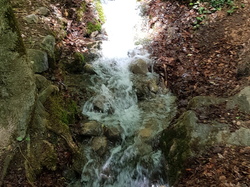  <a style='color: #fff;' href='/uploaded/photo/sejour-a-la-fressinouse-62ac40c2632a3.jpg'>(Télécharger)</a>