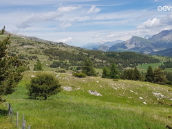  <a style='color: #fff;' href='/uploaded/photo/sejour-a-la-fressinouse-62ac40c589a7f.jpg'>(Télécharger)</a>