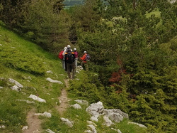  <a style='color: #fff;' href='/uploaded/photo/sejour-a-la-fressinouse-62ac40c67fbb4.jpg'>(Télécharger)</a>