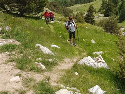  <a style='color: #fff;' href='/uploaded/photo/sejour-a-la-fressinouse-62ac40c74da10.jpg'>(Télécharger)</a>