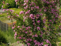  <a style='color: #fff;' href='/uploaded/photo/sejour-a-la-fressinouse-62ac40c7603a3.jpg'>(Télécharger)</a>