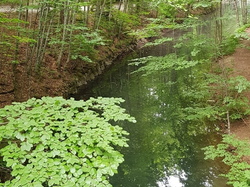  <a style='color: #fff;' href='/uploaded/photo/sejour-a-la-fressinouse-62ac40c7f377e.jpg'>(Télécharger)</a>