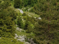  <a style='color: #fff;' href='/uploaded/photo/sejour-a-la-fressinouse-62ac40c839644.jpg'>(Télécharger)</a>