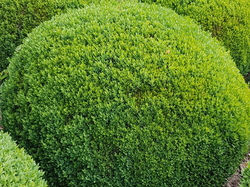  <a style='color: #fff;' href='/uploaded/photo/sejour-a-la-fressinouse-62ac40c8d4004.jpg'>(Télécharger)</a>