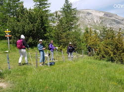  <a style='color: #fff;' href='/uploaded/photo/sejour-a-la-fressinouse-62ac40c8eb5c6.jpg'>(Télécharger)</a>