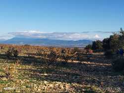  <a style='color: #fff;' href='/uploaded/photo/serignon-du-comtat-6903c1cee2dab.jpg'>(Télécharger)</a>