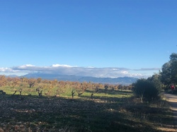  <a style='color: #fff;' href='/uploaded/photo/serignon-du-comtat-6903c1cf48982.jpg'>(Télécharger)</a>