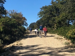  <a style='color: #fff;' href='/uploaded/photo/serignon-du-comtat-6903c1cf6be35.jpg'>(Télécharger)</a>