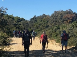  <a style='color: #fff;' href='/uploaded/photo/serignon-du-comtat-6903c1cf75dac.jpg'>(Télécharger)</a>