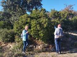  <a style='color: #fff;' href='/uploaded/photo/serignon-du-comtat-6903c1cf7608b.jpg'>(Télécharger)</a>