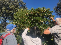  <a style='color: #fff;' href='/uploaded/photo/serignon-du-comtat-6903c1cf76211.jpg'>(Télécharger)</a>