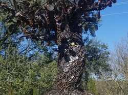  <a style='color: #fff;' href='/uploaded/photo/soly-rieux-69b2fa11ce0f7.jpg'>(Télécharger)</a>