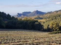  <a style='color: #fff;' href='/uploaded/photo/suzette-les-terres-rouges-6389e20d9375d.jpg'>(Télécharger)</a>