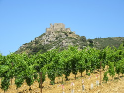 château d'Aguilar <a style='color: #fff;' href='/uploaded/photo/sy-jour-y-tautavel-6862adefc62ae.jpg'>(Télécharger)</a>
