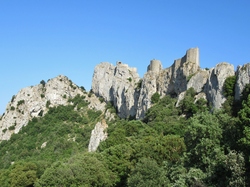 Peyrepertuse <a style='color: #fff;' href='/uploaded/photo/sy-jour-y-tautavel-6862afc08b1ce.jpg'>(Télécharger)</a>