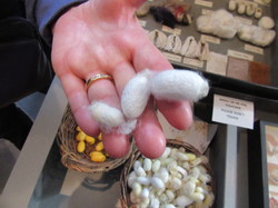  <a style='color: #fff;' href='/uploaded/photo/taulignan-musy-e-de-la-soie-66fee8ce9da74.jpg'>(Télécharger)</a>