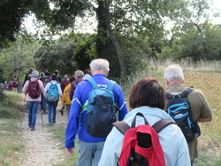  <a style='color: #fff;' href='/uploaded/photo/taulignan-musy-e-de-la-soie-66fee8d0bb09f.jpg'>(Télécharger)</a>