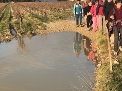  <a style='color: #fff;' href='/uploaded/photo/vacqueyras-693af4f529b90.jpg'>(Télécharger)</a>