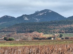  <a style='color: #fff;' href='/uploaded/photo/vacqueyras-693affe83cea6.jpg'>(Télécharger)</a>