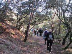  <a style='color: #fff;' href='/uploaded/photo/vaison-61cece2799c0e.jpg'>(Télécharger)</a>