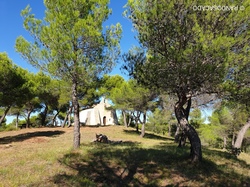 mini_vaison-chapelle-ste-croix-673cd056a3c49.jpg