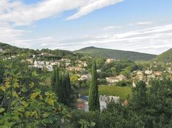 mini_vaison-marche-pour-la-vue-68e14aafc4924.jpg
