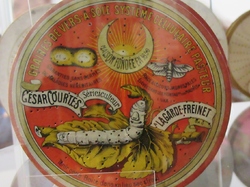  <a style='color: #fff;' href='/uploaded/photo/valry-as-musy-e-de-la-cartonnerie-65c65ef8cc9f1.jpg'>(Télécharger)</a>