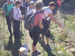  <a style='color: #fff;' href='/uploaded/photo/venterol-63375048d6c1e.jpg'>(Télécharger)</a>