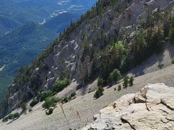  <a style='color: #fff;' href='/uploaded/photo/ventoux-64a7b342f2c93.jpg'>(Télécharger)</a>