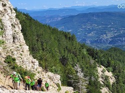 mini_ventoux-64a7b34385466.jpg