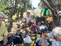  <a style='color: #fff;' href='/uploaded/photo/ventoux-64a7c34968ea5.jpg'>(Télécharger)</a>