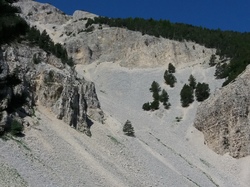mini_ventoux-64a8414c9a06a.jpg