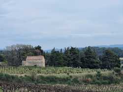  <a style='color: #fff;' href='/uploaded/photo/visan-67eeb268d8386.jpg'>(Télécharger)</a>