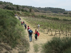  <a style='color: #fff;' href='/uploaded/photo/visan-67eeb61bcff90.jpg'>(Télécharger)</a>