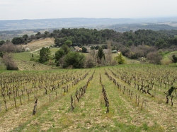  <a style='color: #fff;' href='/uploaded/photo/visan-67eeb6229d76a.jpg'>(Télécharger)</a>