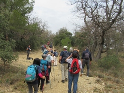  <a style='color: #fff;' href='/uploaded/photo/visan-67eeb623b8ac5.jpg'>(Télécharger)</a>