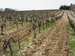  <a style='color: #fff;' href='/uploaded/photo/visan-67eeb623d98ee.jpg'>(Télécharger)</a>