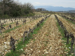  <a style='color: #fff;' href='/uploaded/photo/visan-67eeb625a5d71.jpg'>(Télécharger)</a>