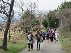  <a style='color: #fff;' href='/uploaded/photo/visan-67eeb6264216c.jpg'>(Télécharger)</a>