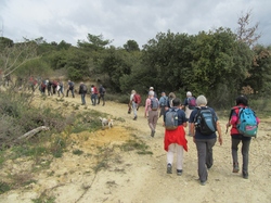  <a style='color: #fff;' href='/uploaded/photo/visan-67eeb626d3a0f.jpg'>(Télécharger)</a>