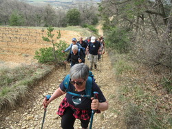  <a style='color: #fff;' href='/uploaded/photo/visan-67eeb626e4f91.jpg'>(Télécharger)</a>