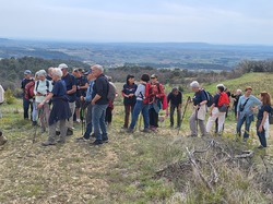  <a style='color: #fff;' href='/uploaded/photo/visan-67f0dc4fafc1a.jpg'>(Télécharger)</a>