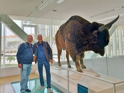  <a style='color: #fff;' href='/uploaded/photo/visite-de-la-grotte-cosquer-y-marseille-66072ca0f1b58.jpg'>(Télécharger)</a>