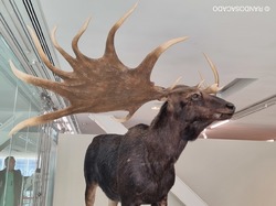  <a style='color: #fff;' href='/uploaded/photo/visite-de-la-grotte-cosquer-y-marseille-66072cc4c5ea5.jpg'>(Télécharger)</a>